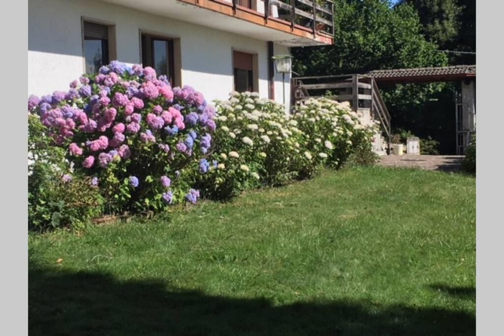 Villa Immersa Nel Verde A Lanzo dʼIntelvi Exterior foto
